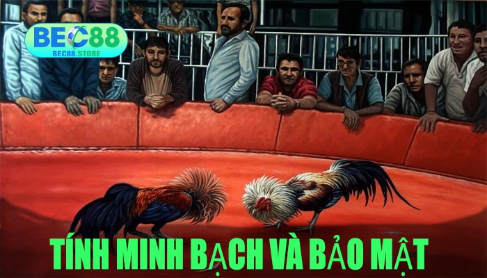 Tính Minh Bạch Và Bảo Mật 